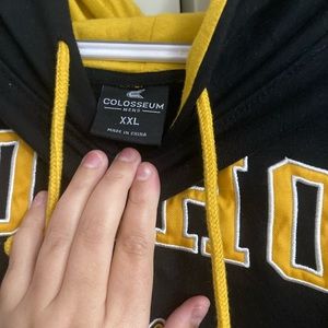 Idaho vandals sweatshirt